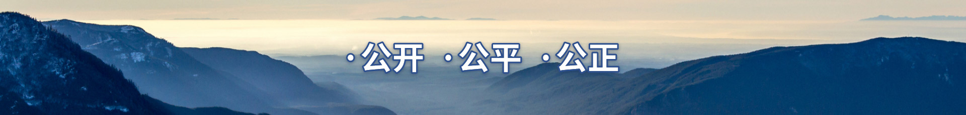 福建亚傅yabosportsapp入口登录官网招标代理有限公司
